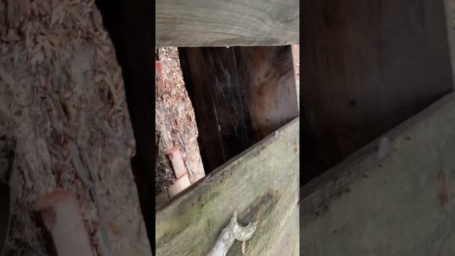 Техас.Клуб самодеятельной песни. смотреть онлайн