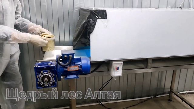 Щедрый лес Алтая смотреть онлайн