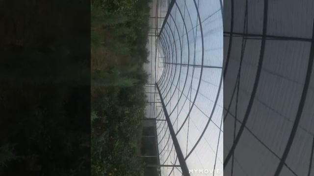 КАЛАНДАРОВСКИЙ МЕДОВКА смотреть онлайн