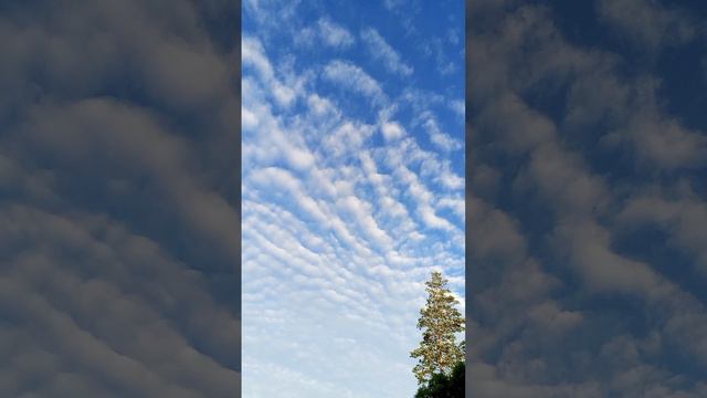 теневые облака смотреть онлайн