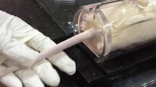 Rat tail Intravenous Injection, Prof. Sawsan Aboul-Fotouh смотреть онлайн