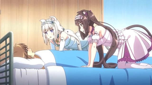 Nekopara ONA「AMV」 смотреть онлайн