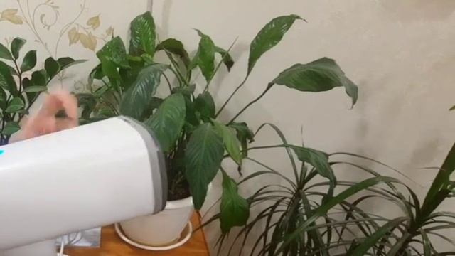 Обзор ручного отпаривателя Kitfort KT-988#отпариваем всё#ручной отпариватель Китфорт смотреть онлайн