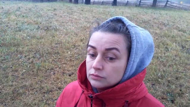 Зачем мы ходим в лес Mp4