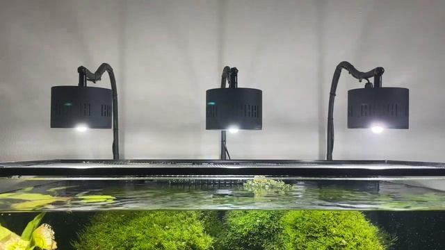 Asta-120 80w LED aquarium light update. смотреть онлайн