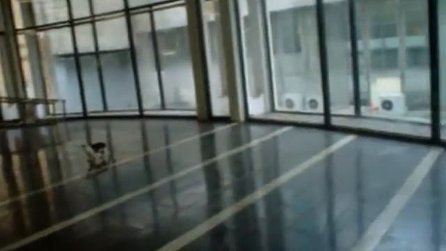 Киця на охоте смотреть онлайн