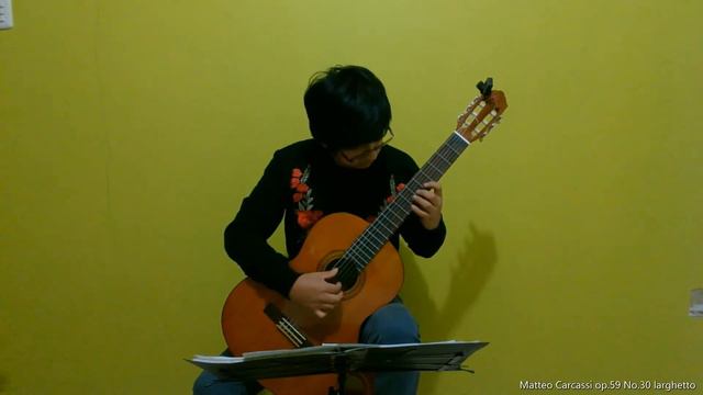 ROBERTH CARDENAS - (Matteo Carcassi - Fernando Sor) смотреть онлайн