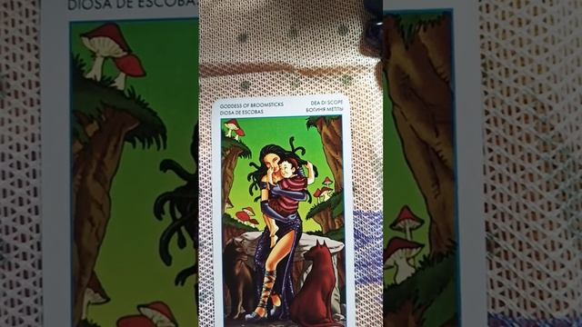 королева мечей( богиня метлы)#shorts#завершение обучения#таро юнных ведьм #значение карты смотреть онлайн