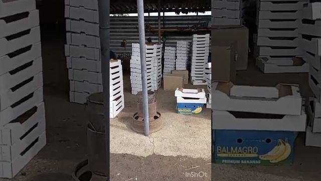 Сбор клубники 🍓 Работа в Крыму смотреть онлайн