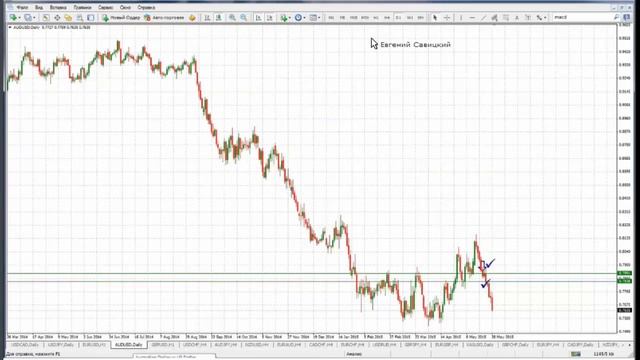Обзор рынка по ТС Савицкого 28.05.15 смотреть онлайн
