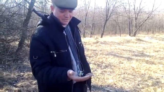 Синица спит в руке. смотреть онлайн