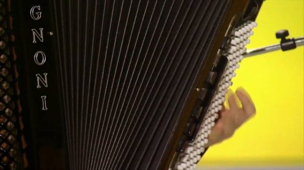 Раду Рэцой (Radu Rățoi) — Очарование аккордеона