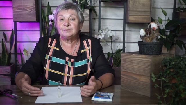 Препарат Прогноз ✔️ Лечение Заболеваний Растений ✔️ Инструкция к Применению смотреть онлайн