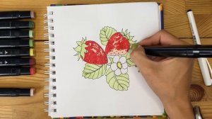 Мини-курс «Скетчинг» Урок 5. Рисунок скетч маркерами для начинающих. Клубника