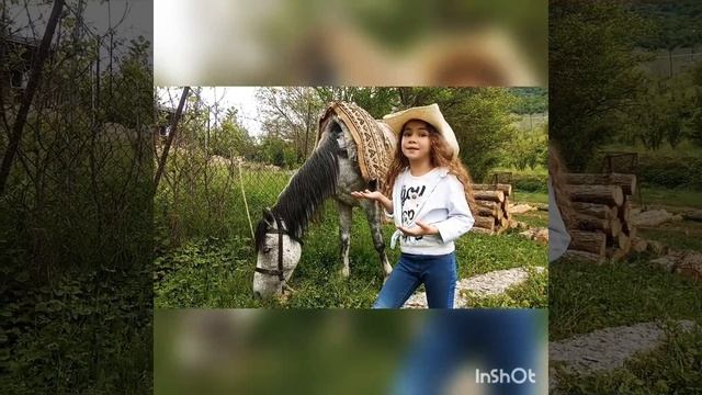 Моё любимое животное смотреть онлайн