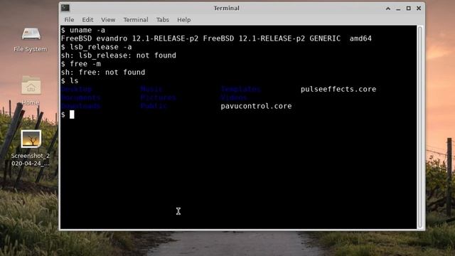FuryBSD com XFCE - informações sobre o sistema смотреть онлайн