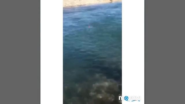 Рыбалка, река Сулак. смотреть онлайн