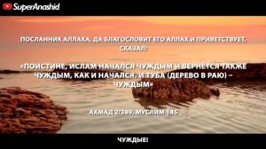 Нашид Гураба с переводом