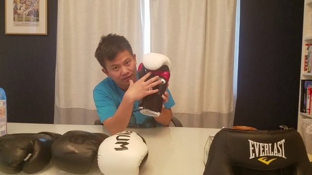 Venum Challenger 2.0 Vs. Venum Elite Boxing Gloves Review смотреть онлайн