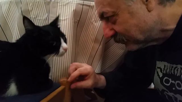 who's the boss? CAT! - Кто в доме хозяин? ЧЁРТИК! смотреть онлайн