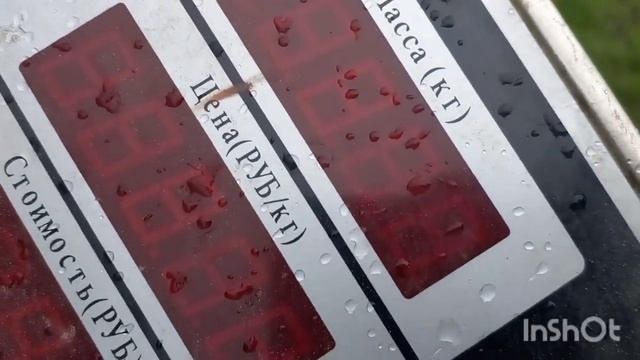 Металлокоп 2022. Часовой коп металла. смотреть онлайн