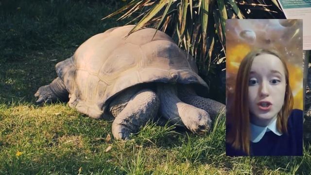 Татарская сказка "Три сестры" смотреть онлайн