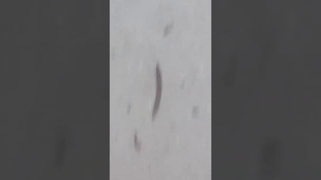 Делаем Вместе