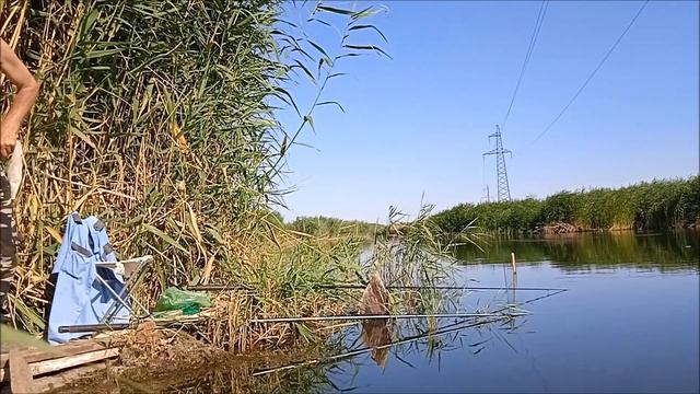 Отличный клёв линя! Полный релакс на рыбалке. В конце обращение к ЛЮДЯМ! смотреть онлайн