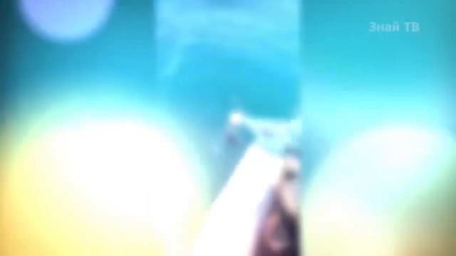 Вот что оставляет после себя эта рыба! БАРРАКУДА В ДЕЛЕ! смотреть онлайн