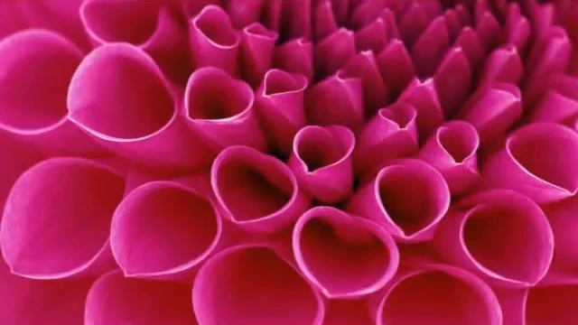 Vakratunda mahakaya mantra/Happy Ganesh chaturthi/Happy birthday of Lord Ganesha. смотреть онлайн