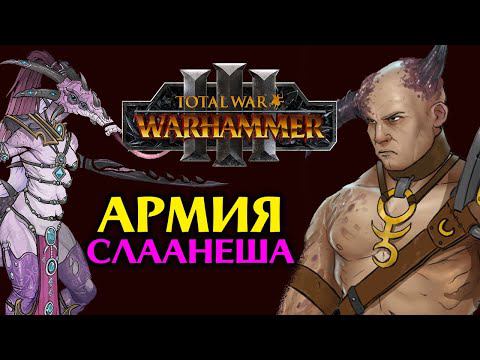 Вся армия Слаанеша в Total War Warhammer 3 (официальный список) смотреть онлайн