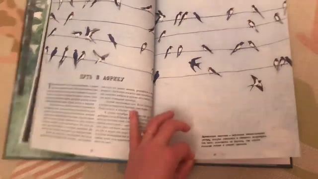 МиГрация (обзор книги), изд-ва Поляндрия смотреть онлайн
