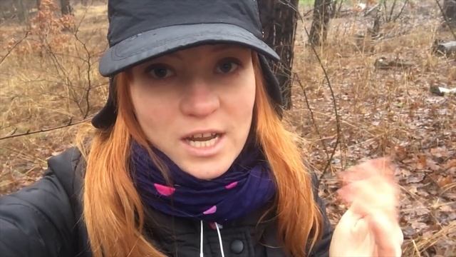 Разные зимние грибы. Способы приготовления смотреть онлайн