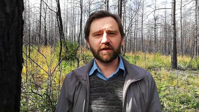 Милый друг, грустить не надо... смотреть онлайн