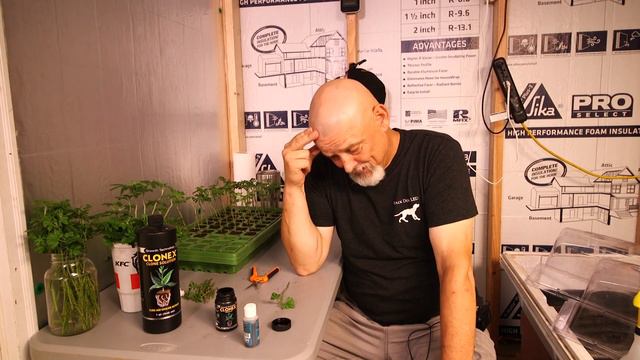 Garden Update: Skywalker OG by ILGM, Flower Room Reset, Cutting Production Clones. смотреть онлайн