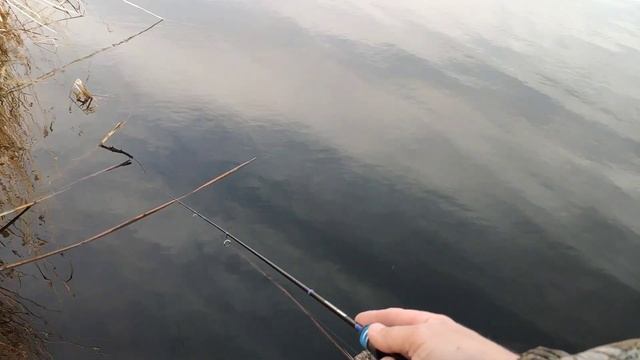 Мормышинг 12 февраля.Гаммарус.Окуни. смотреть онлайн