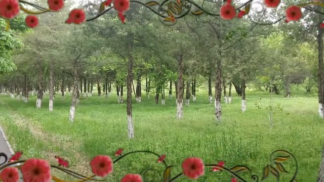 по санаторию Аксу Деми Шипажайы (жарнама) смотреть онлайн