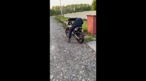 Мне купили новый питбайк! regulmoto seven medalist 150E 19/16.