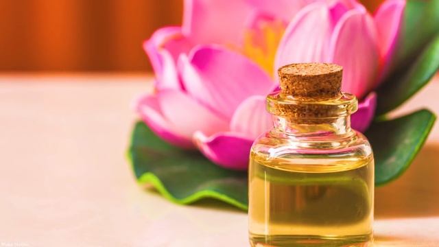 528Hz Cleanse All Negative Energy - Positive Energy For Your Home - Music For Meditation. Spa. Yoga смотреть онлайн