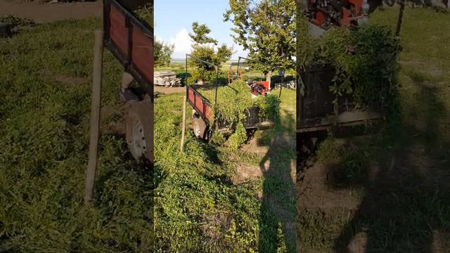 внук на сенокосе смотреть онлайн