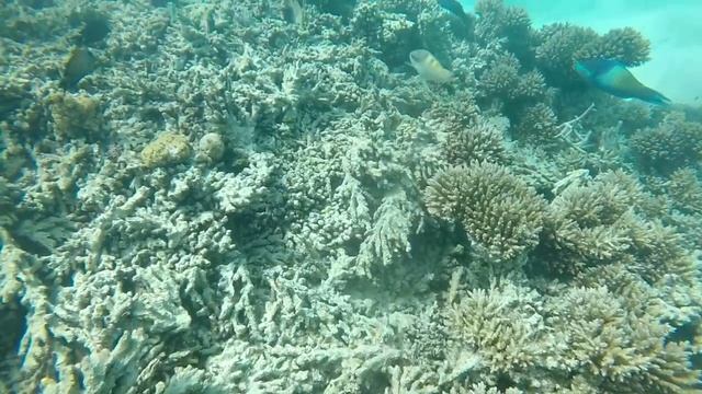 Blue Bay - Mauritius