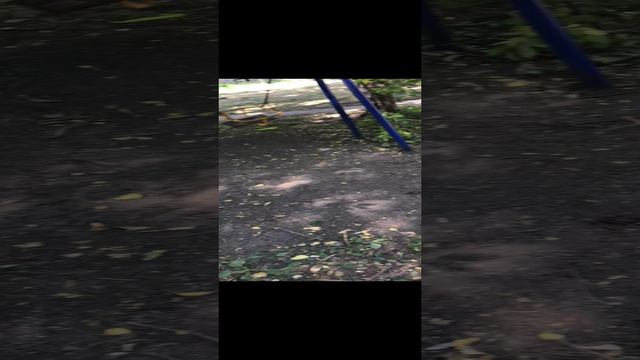 Призрак на детской площадке! смотреть онлайн