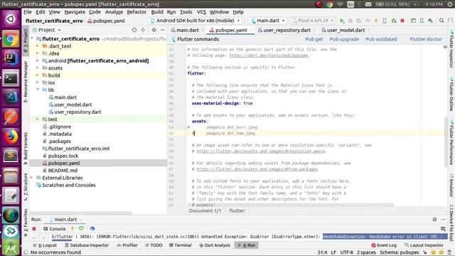 How to solve Handshake certificate error using dio library in Flutter смотреть онлайн
