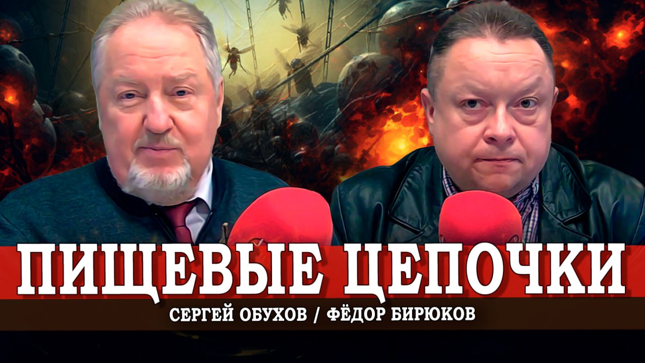 Мухи, мука и фарш капитализма (Обухов, Бирюков)