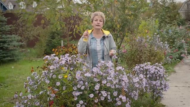 Успейте сделать до заморозков... смотреть онлайн