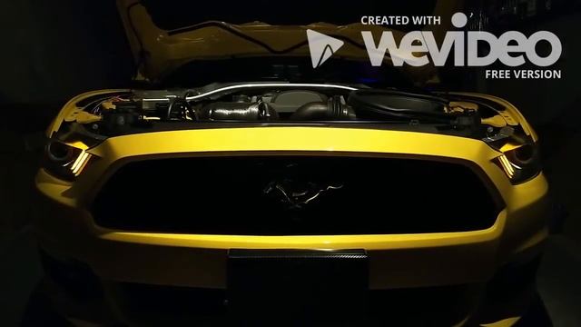 2015 FORD MUSTANG LED HALO CONCEPT смотреть онлайн