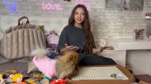 Подарки для собак ? Распаковка зоотоваров TRIOL ? #моисобаки