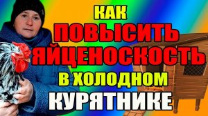 Как ПОВЫСИТЬ ЯЙЦЕНОСКОСТЬ кур в холодном курятнике. Утепляем курятник к зиме.