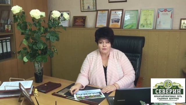 Шикарные розы Братьев Топалович из Сербии. Группа: почвопокровные смотреть онлайн