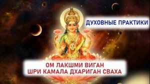 ОМ ЛАКШМИ ВИГАН ШРИ КАМАЛА ДХАРИГАН СВАХА. Мантра Лакшми